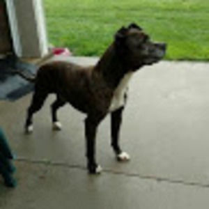 Meet your Posher, James